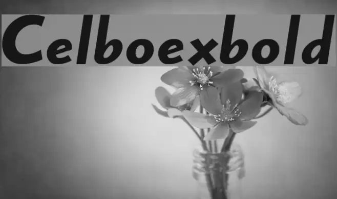 Celboexbold Font examples