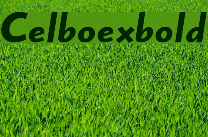 Celboexbold Font examples