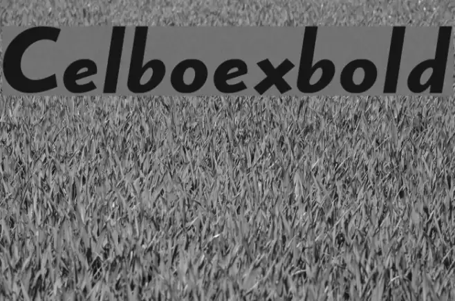 Celboexbold Font examples