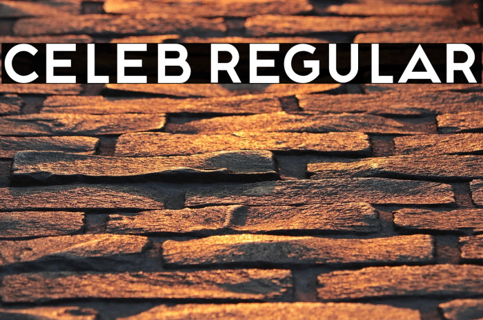 Celeb Regular Example 1