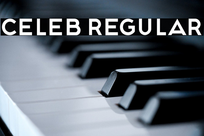 Celeb Regular Example 2