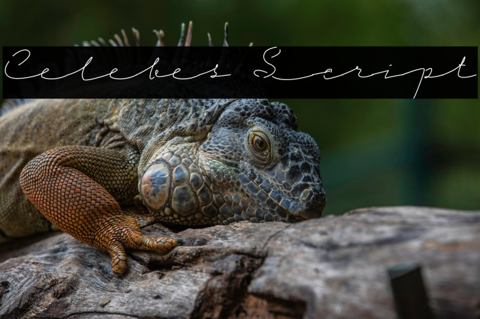 Celebes Script Example 1