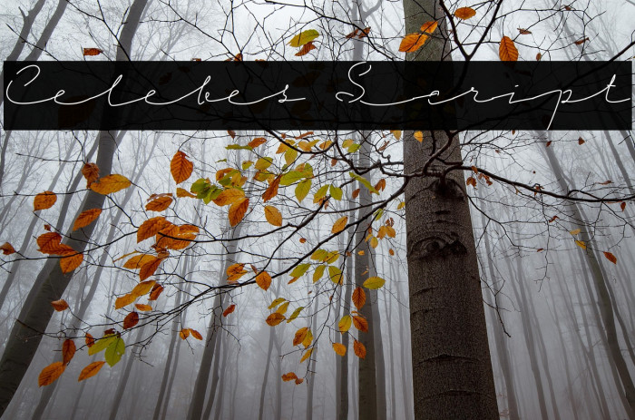 Celebes Script Example 2