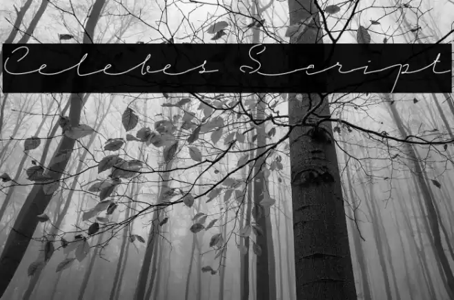 Celebes Script Schriftart examples