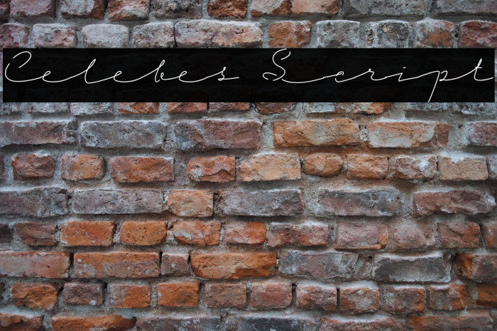 Celebes Script Example 3