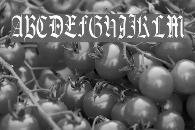 Celebrate Regular Шрифта examples