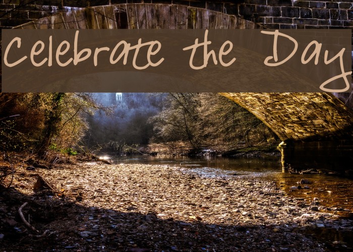 Celebrate the Day Font examples