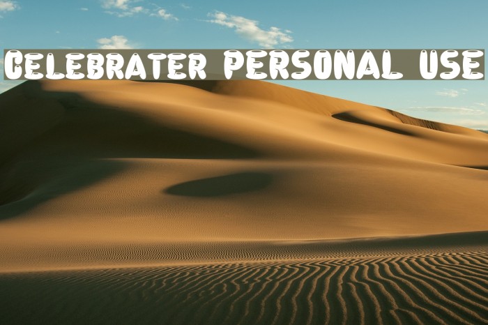 Celebrater PERSONAL USE Example 2