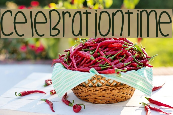 CelebrationTime Font examples
