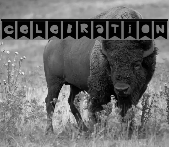 Celebration Font examples