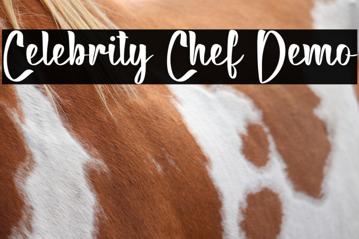 Celebrity Chef Demo Example 2