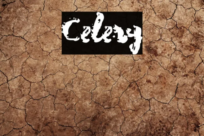 Celery Example 1