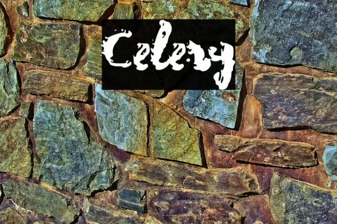 Celery Example 2