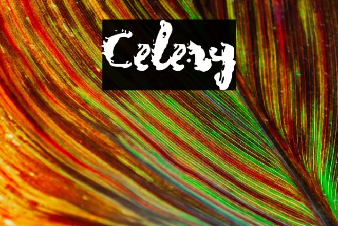 Celery Example 3