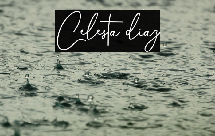 Celesta diaz Example 1