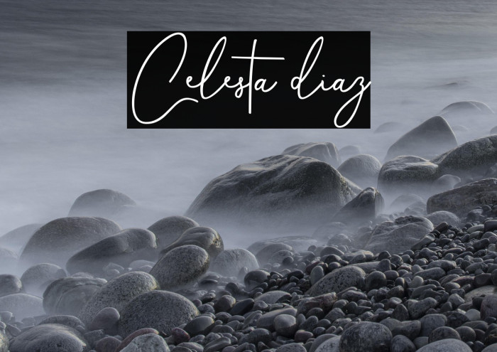 Celesta diaz Example 2