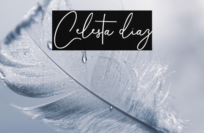 Celesta diaz Example 3