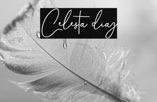 Celesta diaz Font examples