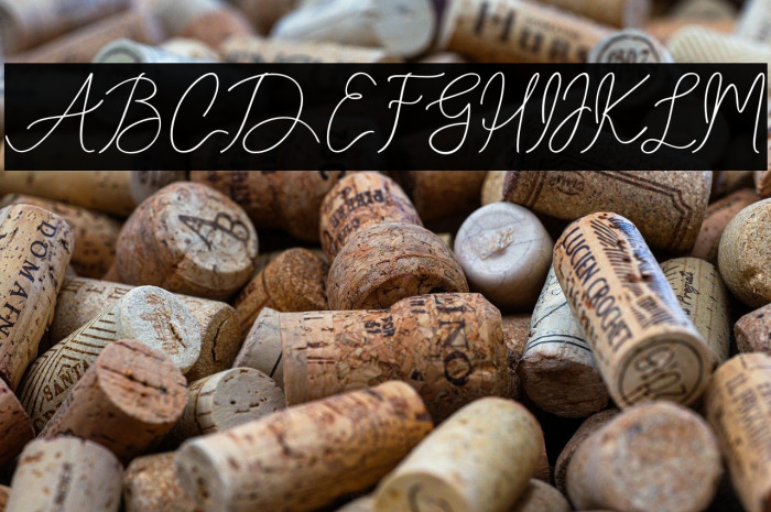 Celestadiaz Example 3