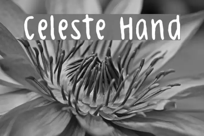 Celeste Hand Font examples