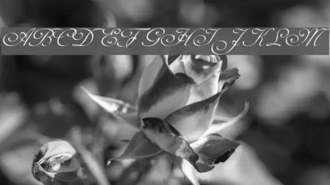 Celeste Normal Font examples