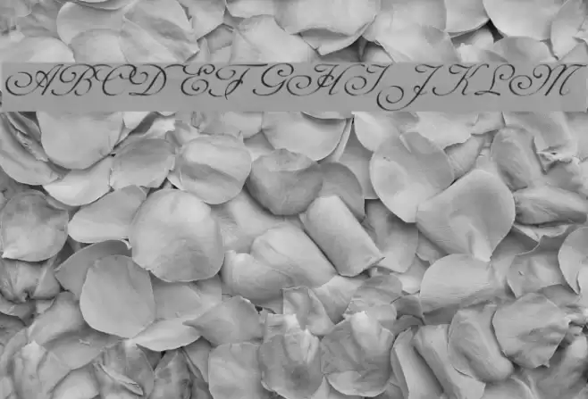 Celeste Normal Font examples