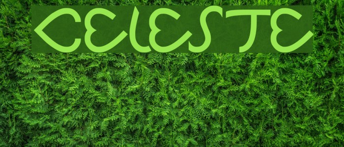 Celeste Font examples