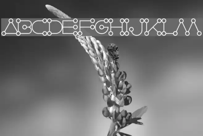 Celestial Alphabet Demo Font examples