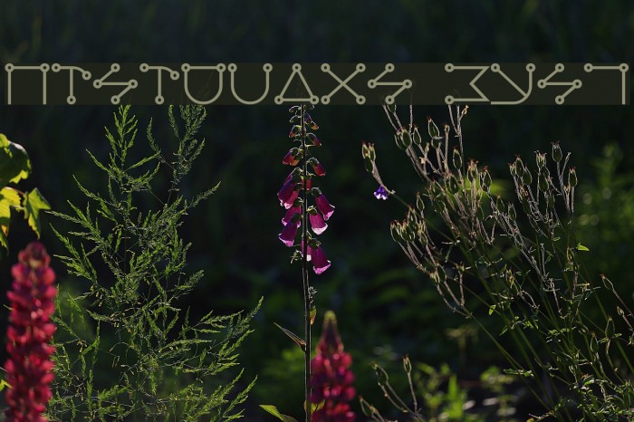 Celestial Bold Example 2