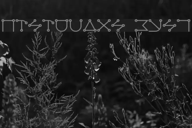 Celestial Bold Font examples