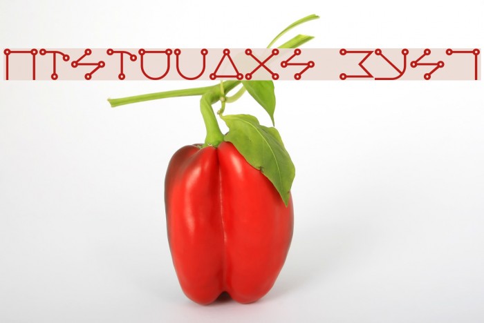 Celestial Bold Example 3