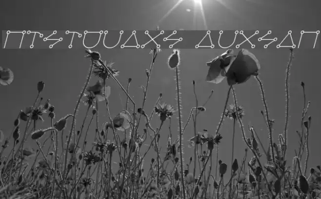 Celestial Italic Font examples