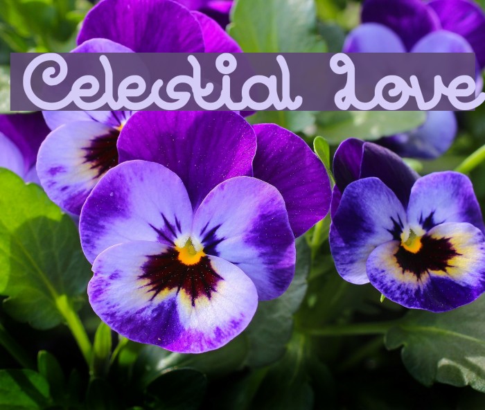 Celestial Love Font examples