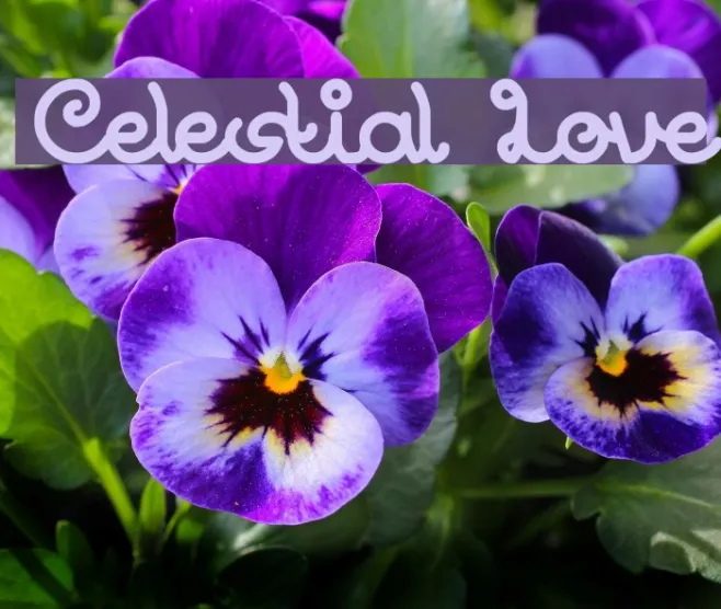 Celestial Love Example 3