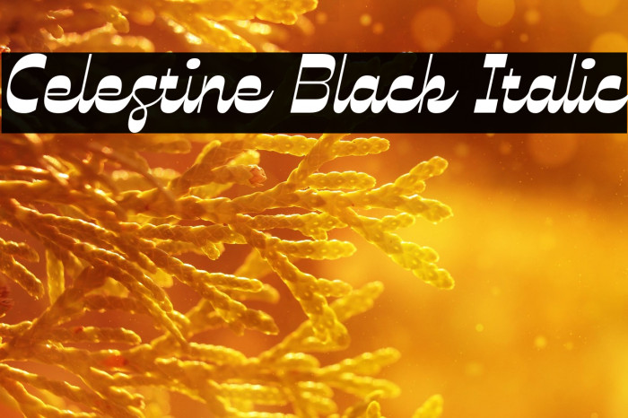 Celestine Black Italic Example 1