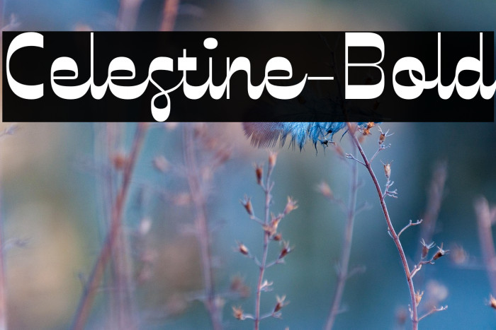Celestine-Bold Example 1