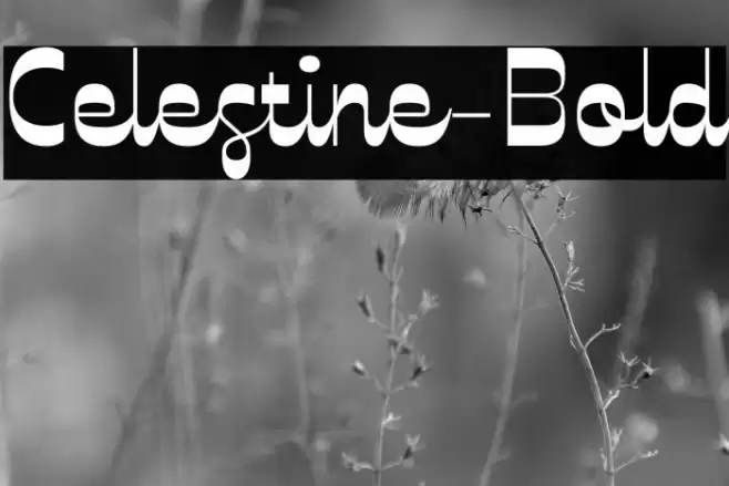 Celestine-Bold Font examples