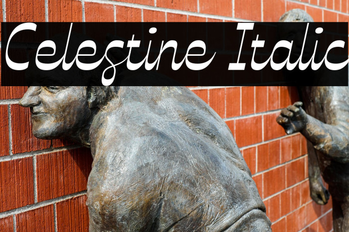 Celestine Italic Example 1