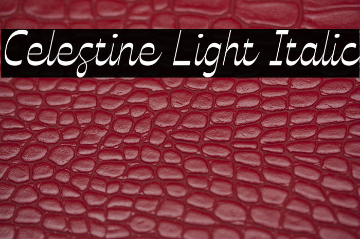 Celestine Light Italic Example 2