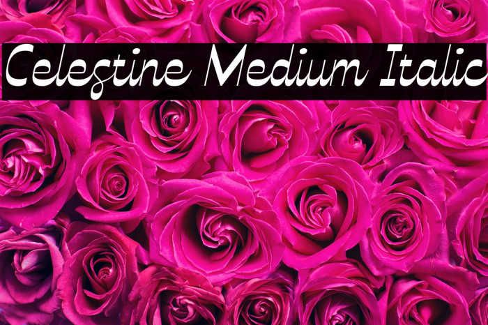 Celestine Medium Italic Example 3