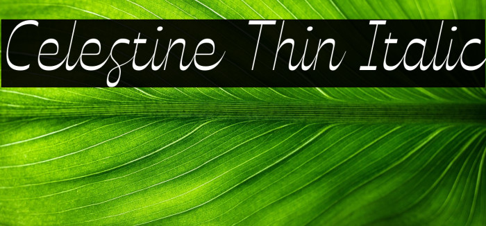 Celestine Thin Italic Example 2