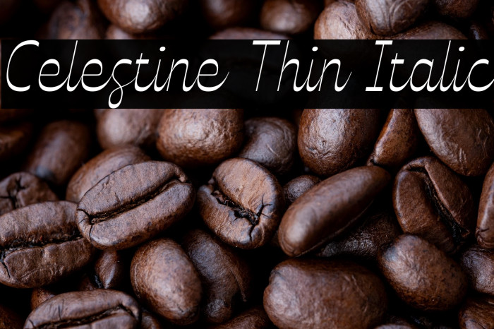 Celestine Thin Italic Example 3
