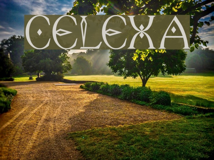 Celexa Fonte examples