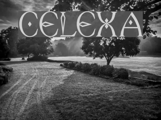 Celexa Font examples