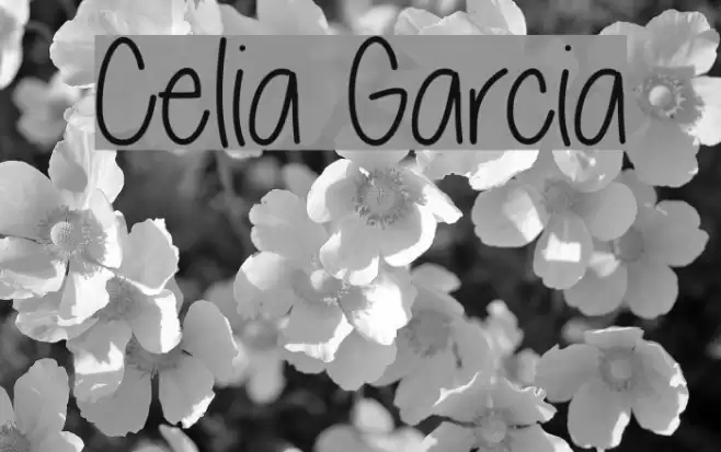 Celia Garcia Font examples