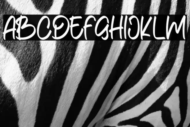 CelinaStephanie-Script Font examples