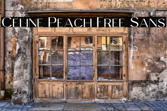 Celine Peach Free Sans Example 3
