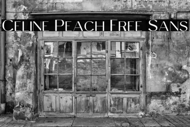 Celine Peach Free Sans Font examples
