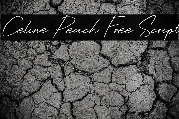 Celine Peach Free Script Example 2