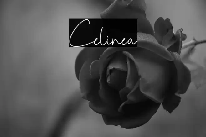 Celinea Font examples